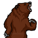 How to Draw Bear, Wild Animals