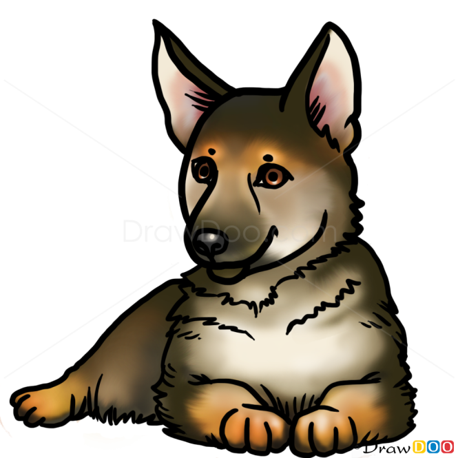 german shepherd puppy drawing
