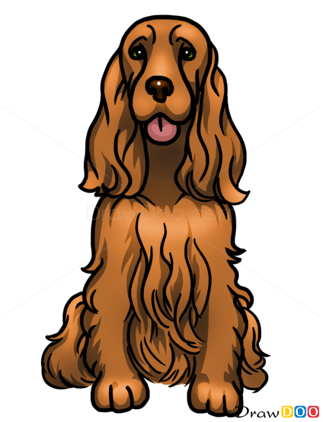 How to Draw Cocker Spaniel Dogs and Puppies