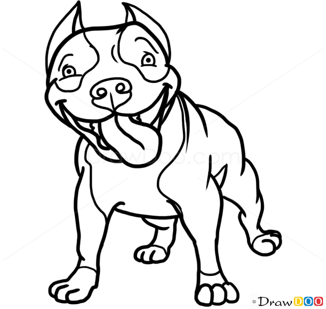 How To Draw Cute Pit Bull Dogs And Puppies