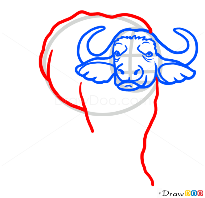 How to Draw Buffalo, Wild Animals