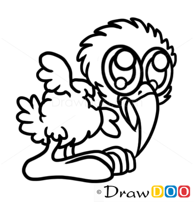 How to Draw Grey Bird, Cute Anime Animals