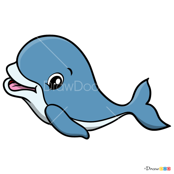 How to Draw Baby Dolphin, Baby Animals