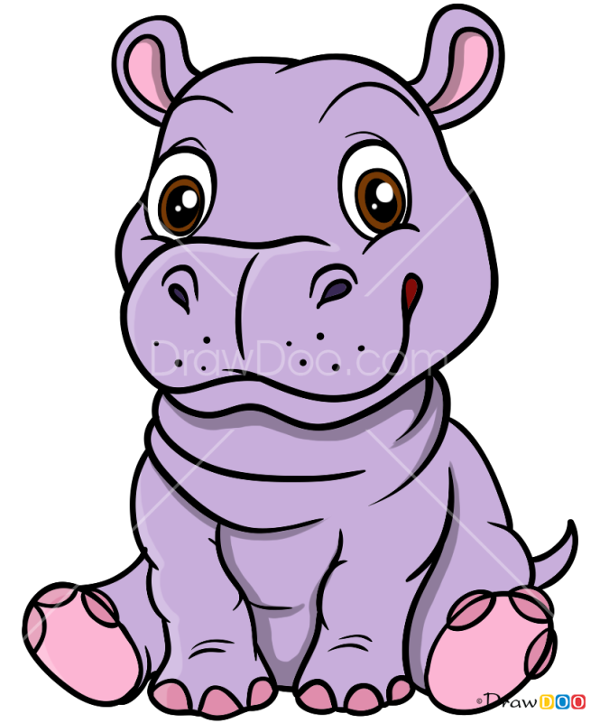How to Draw Baby Hippo, Baby Animals