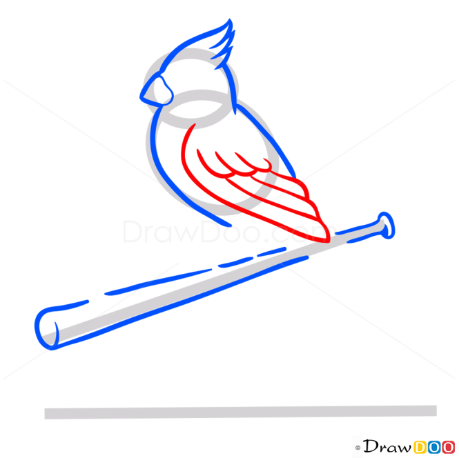 How to Draw St. Louis Cardinals Logo, Baseball Logos