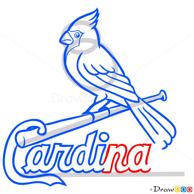 How to Draw St. Louis Cardinals Logo, Baseball Logos