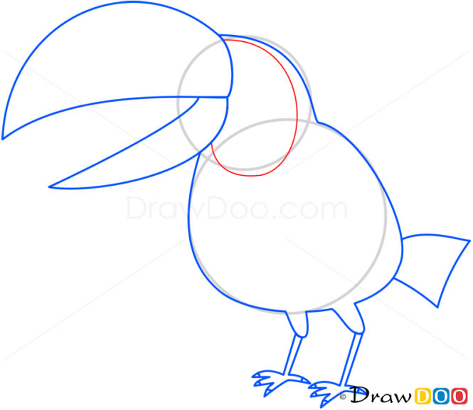 How to Draw Toucan, Birds