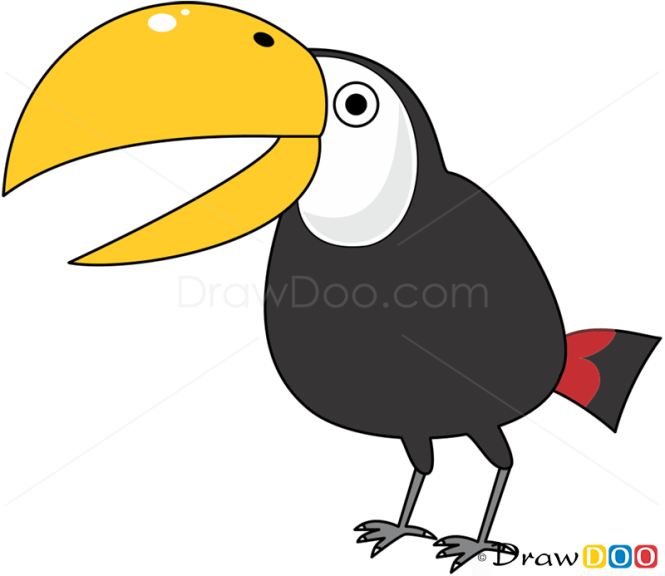 How to Draw Toucan, Birds