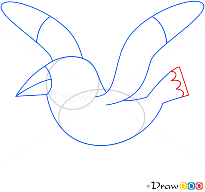 How to Draw Seagull, Birds