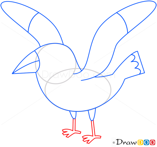 How to Draw Seagull, Birds