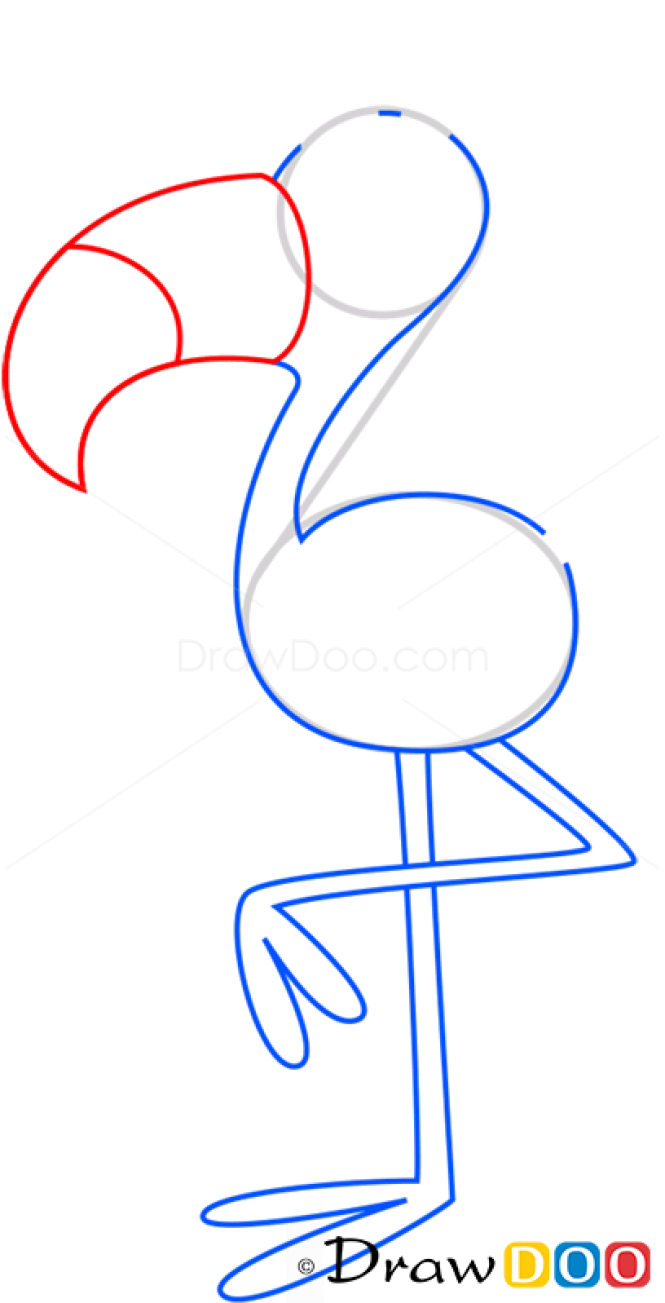 How to Draw Flamingo, Birds