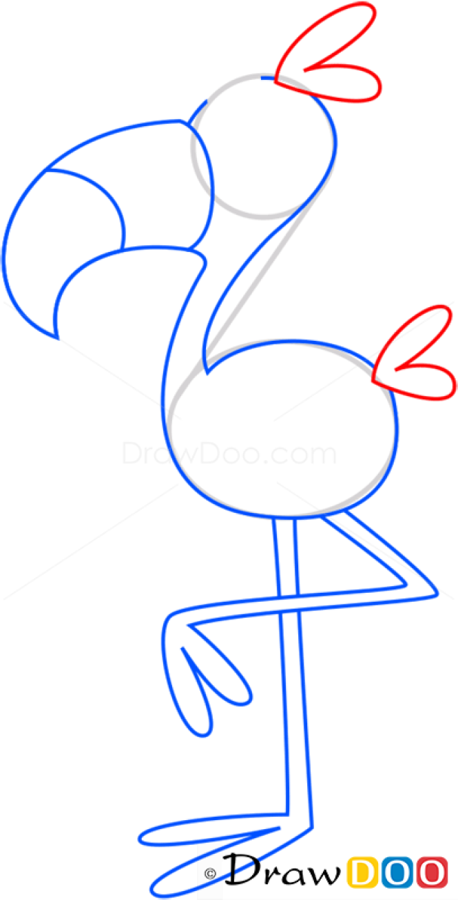 How to Draw Flamingo, Birds