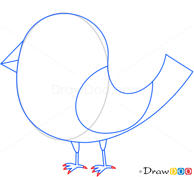 How to Draw Bird Of Paradise, Birds