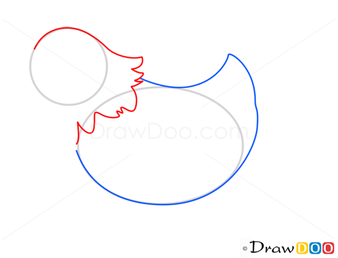 How to Draw Cock, Birds