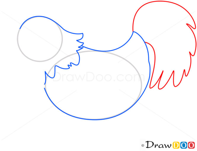 How to Draw Cock, Birds