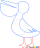 How to Draw Pelican, Birds