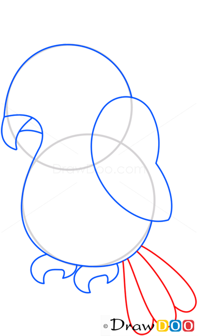 How to Draw Parrot, Birds