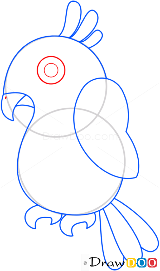 How to Draw Parrot, Birds