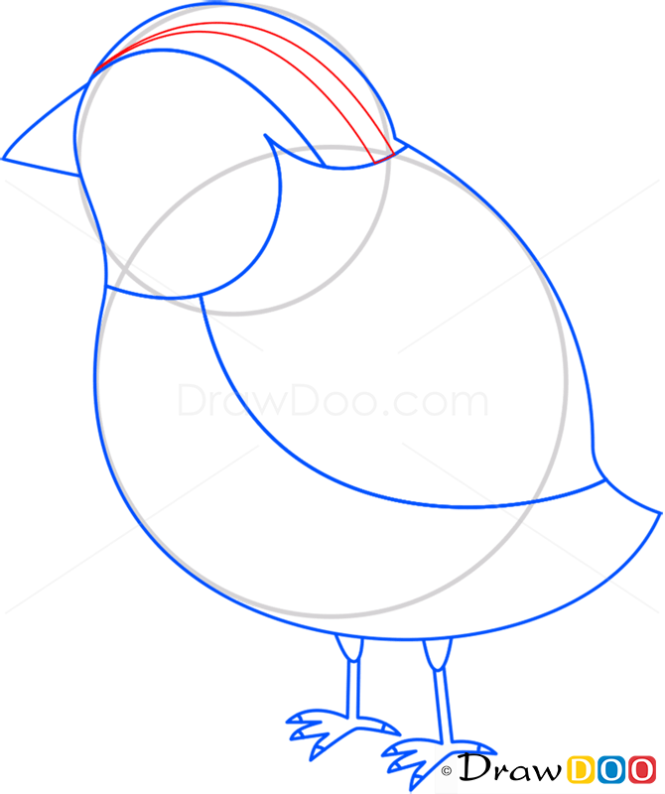 How to Draw Skylark, Birds