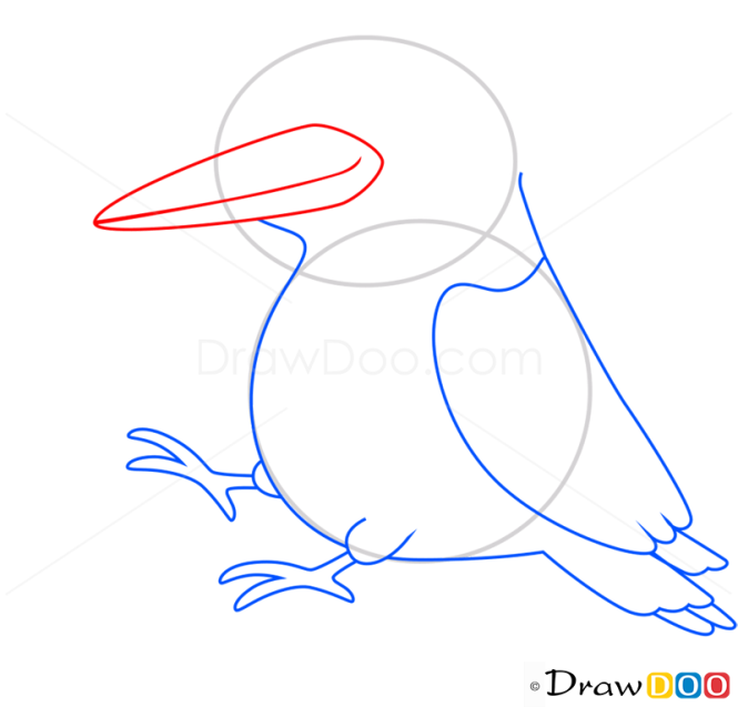 How to Draw Woodpecker, Birds