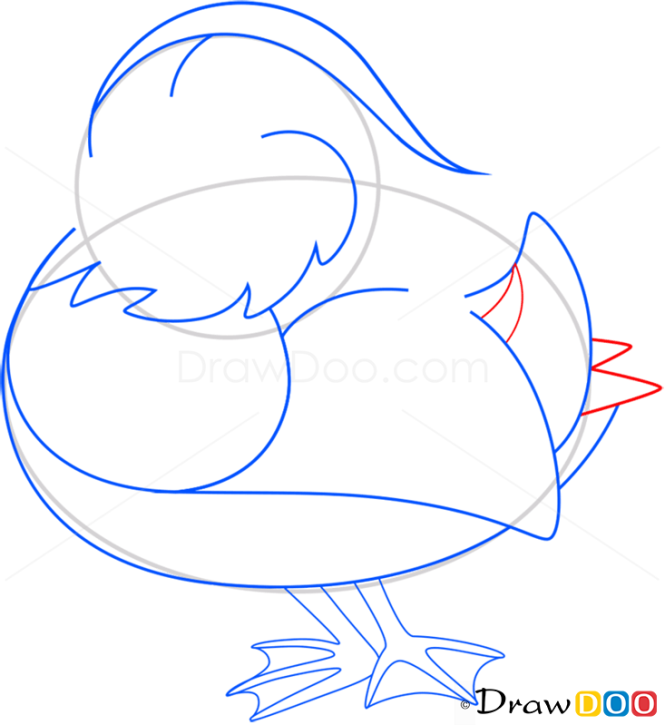 How to Draw Mandarin Duck, Birds