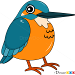 How to Draw Kingfisher, Birds