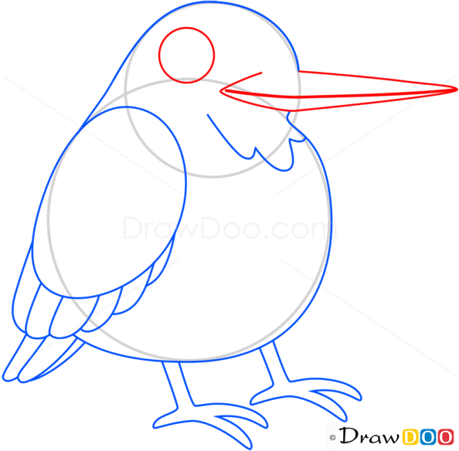 How to Draw Kingfisher, Birds