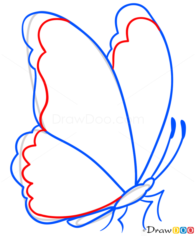 How to Draw Amazing Butterfly, Butterflies