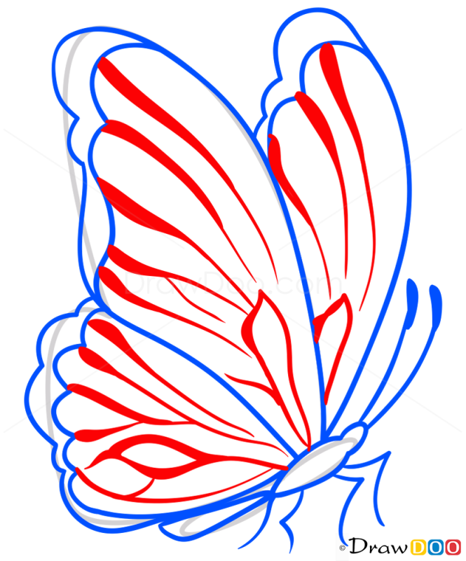 How to Draw Amazing Butterfly, Butterflies