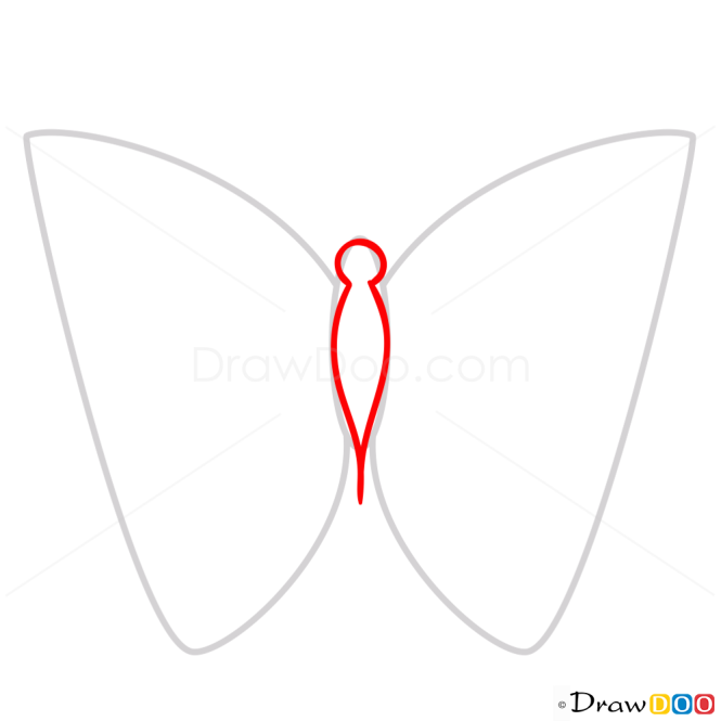 How to Draw Green Butterfly, Butterflies