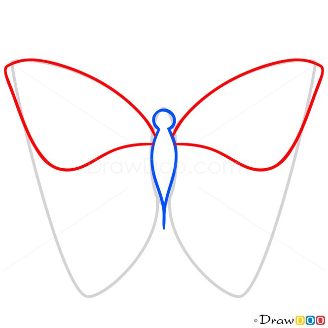 How to Draw Green Butterfly, Butterflies
