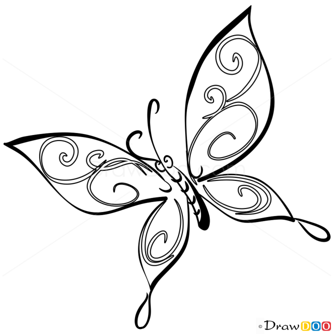 How to Draw Minimalistic Butterfly, Butterflies