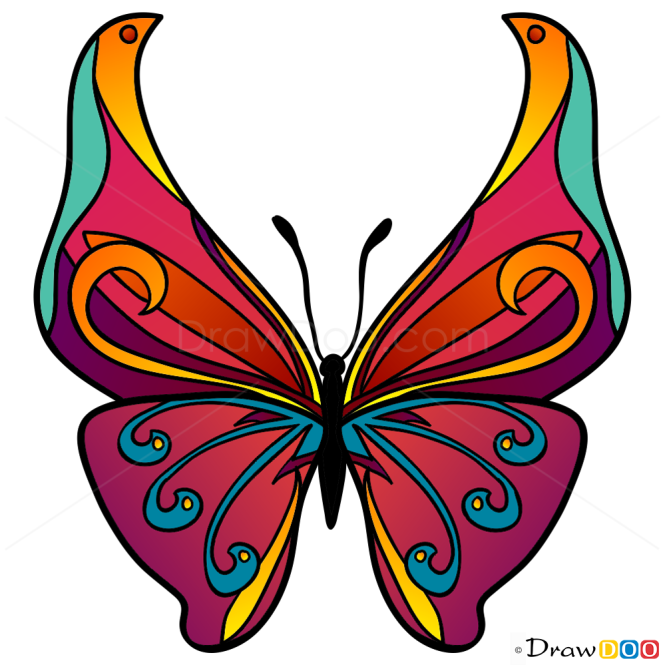 How to Draw Motley Butterfly, Butterflies
