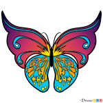 How to Draw Multicolor Butterfly, Butterflies