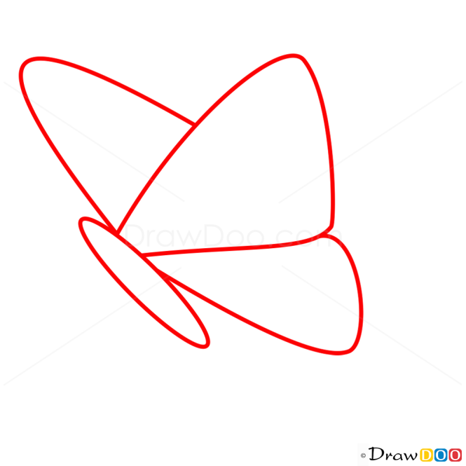 How to Draw Tender Butterfly, Butterflies