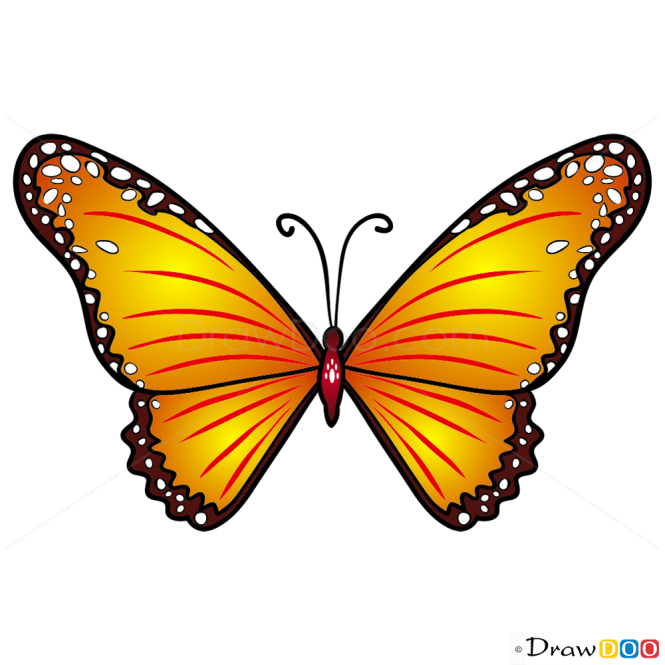 How to Draw Yellow Butterfly, Butterflies