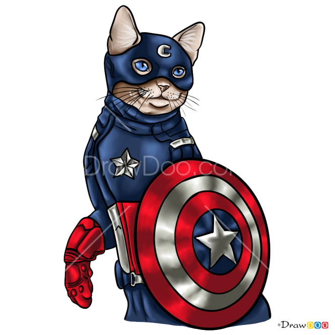 How to Draw Captain Americat, Cats Superheroes