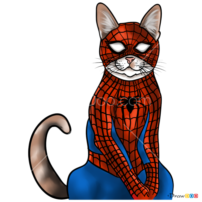 How to Draw Spider Cat, Cats Superheroes
