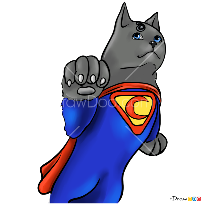 How to Draw Supercat, Cats Superheroes