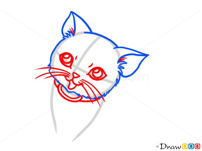 How to Draw Anime Kitten, Cats and Kittens