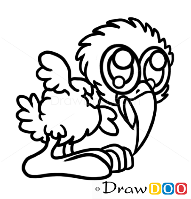How to Draw Bird, Chibi