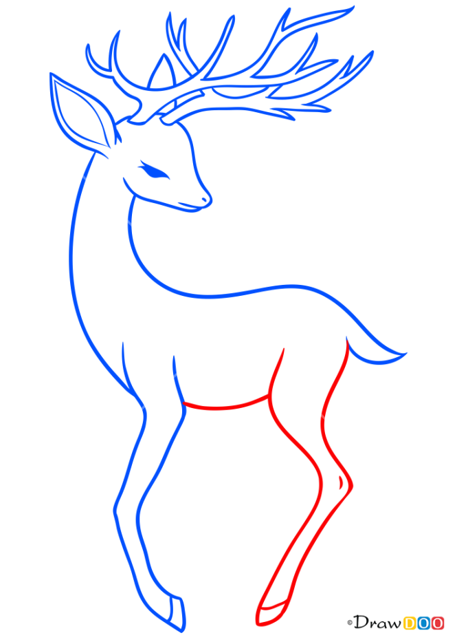 How to Draw Fantastic Deer, Deer
