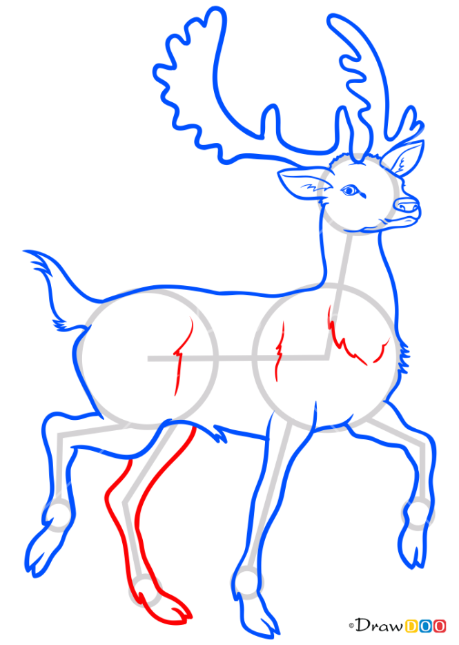 How to Draw Deer, Deer