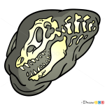 How to Draw Fossil, Dinosaurus
