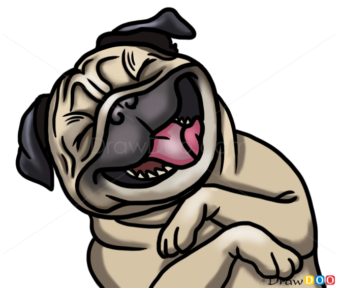 How to Draw Pug Laughing, Dogs and Puppies