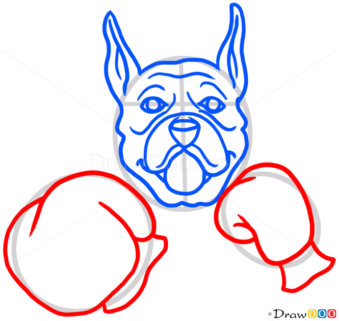 How to Draw Boxer Dog, Dogs and Puppies