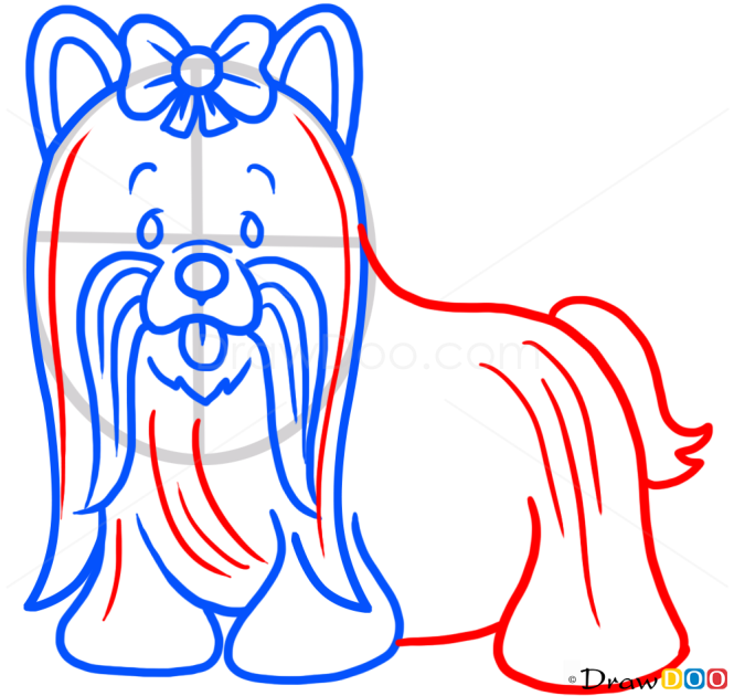 How to Draw Yorkshire Terrier, Dogs and Puppies