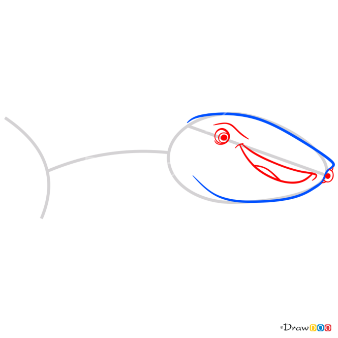 How to Draw Destiny, Dory and Nemo