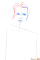 How to Draw Kim Basinger, Famous Actors