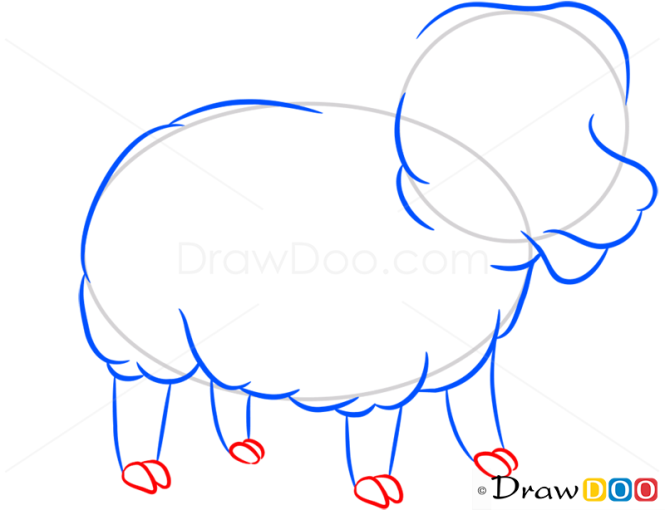 How to Draw Sheep, Farm Animals